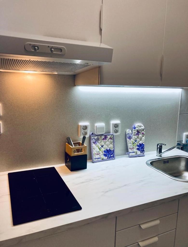 Apartmany, Penzion, Wellness U Zlate Rybky วิชคอฟ ภายนอก รูปภาพ