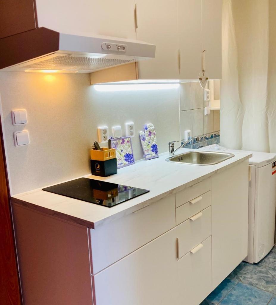 Apartmany, Penzion, Wellness U Zlate Rybky วิชคอฟ ภายนอก รูปภาพ